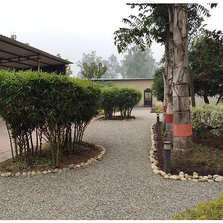 Dr. Sudha'S Ayurveda Hotel Muzaffarnagar Exterior photo